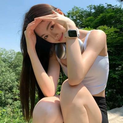 两个阿拉伯骑士